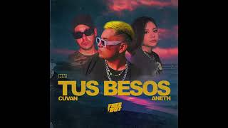 Tus Besos Song  from Desi Music [upl. by Selin]