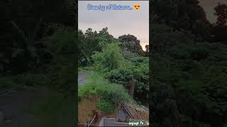 Somewhere in Antipolo Rizal 🇵🇭 shortvideo travelph scenicviews viralvideo [upl. by Gibb]