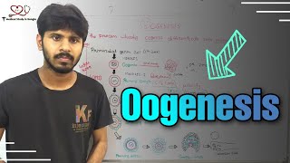 Oogenesis detail explanation in bangla [upl. by Aholla]