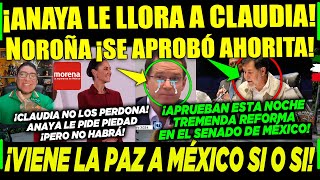 MIÉRCOLES ¡ANAYA PIDE PIEDAD A CLAUDIA NOROÑA ¡APROBADO PAZ EN MÉXICO ¡SI O SI A LA FUERZA [upl. by Nehr238]