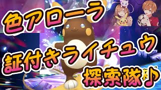 雪系証リベンジ！！！色違いアローラライチュウ証持ち探索隊！！！とりあえず乱獲だ！！！【ポケモンSV】 [upl. by Capwell]