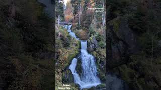 Triberg Waterfalls GermanyTriberg Wasserfälle Deutschland waterfall germany triberg [upl. by Touber545]