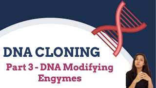 DNA Cloning Part 3  DNA Modifying Enzymes  Nucleases [upl. by Seligman]