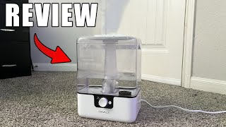 CHIVALZ Air Humidifier Review amp Test [upl. by Borden]