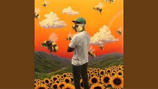 Flower Boy Full Album [upl. by Cavil940]