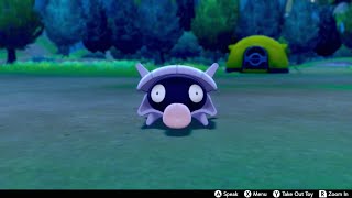 Shellder In Camp  Pokemon Sword amp Shield [upl. by Mays]