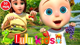 Color Song  More Nursery Rhymes amp Kids Songs  LuLu Kids [upl. by Winnifred586]