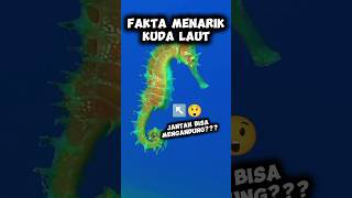 FAKTA MENARIK KUDA LAUT shorts animals facts [upl. by Ellehctim61]