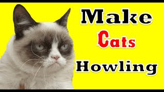 GUARANTEED Make Your Cats Howling  UNHAPPY SCREAM Angry Cats MEOW Sound Effects [upl. by Adnilreh289]