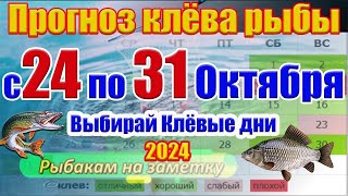 Прогноз клева рыбы на эту неделю с 24 по 31 Октября Прогноз клева Лунный Календарь рыбака [upl. by Silsbye]