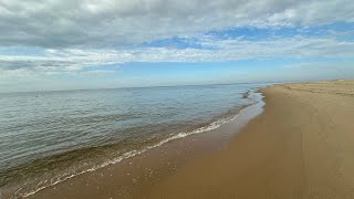 Cypress Swamps Woods Beaches amp Wildlife in First Landing State Park VA [upl. by Nibor]