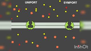 Carrier Proteins  Symport  Uniport  Antiport [upl. by Uyr959]