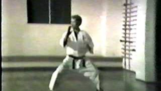 Tekki Sandan Shotokai Karate Do Kata [upl. by Kopans445]