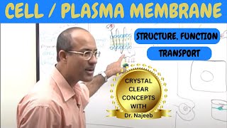 Cell or Plasma Membrane  Structure  Function amp Transport🧬 [upl. by Bullock]