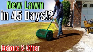 How to Plant a New Lawn with 4 Easy Steps [upl. by Arata463]