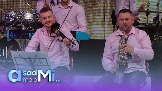 Orkestar Milosa Pavlovica Kike  Vlaski polet  LIVE  Tv Grand 09012024 [upl. by Hafital]