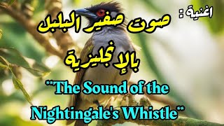 اغنية  صوت صفير البلبل  بالإنجليزية The Sound of the Nightingales Whistle [upl. by Aerdied324]