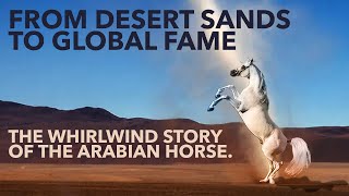 FROM DESERT SANDS TO GLOBAL FAME  The Whirlwind Story of the Arabian Horse [upl. by Inahpets876]