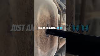 Doing a oil change automobile oilchange 67 67cummins mechanic youtube youtubeshorts diy [upl. by Rodney]