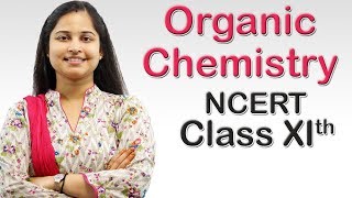 Organic Chemistry  Detection of Nitrogen Class 11th CBSE Chemistry [upl. by Akinohs529]