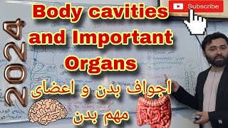 Body cavities اجواف بدن [upl. by Sissie]