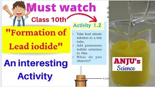 Formation of Lead iodide  Activity 12 Chapter 1 Class 10 AnjusScience [upl. by Cicily]