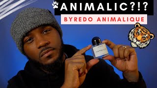 BYREDO ANIMALIQUE  How Animalic is This  FRAGRANCE REVIEW [upl. by Lapides]