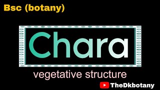 chara algae bsc 1st sem botany l algae [upl. by Ahsika]