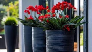 Unusual Design Ideas for Outdoor Spaces  Beautiful Flower Pots and Gardening Visualization  home [upl. by Zakarias]