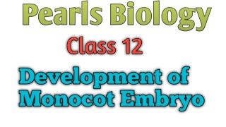 Development of Monocot Embryo [upl. by Dyana459]