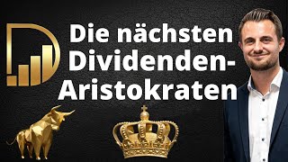 Die nächsten DividendenAristokraten  2023  Musterportfolio [upl. by Isnyl715]