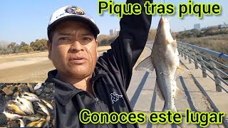 uno de los mejores lugares pesqueros 100 gratis pique asegurado amigos en la pesca Argentina 👍 [upl. by Eltsirc135]