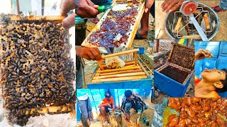 தேன் 🐝 மழையில் நனைய தயாரா தேன்🍯 எடுப்பது எப்படி Honey harvesting in tamil ✨ [upl. by Aihseyt]