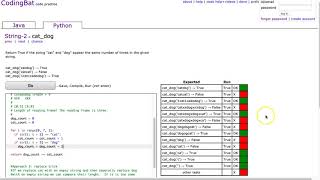 Codingbat  catdog Python [upl. by Ennaed984]