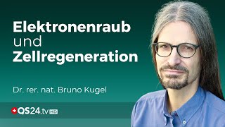 Silicium und Hochfrequenz Die faszinierende Verbindung für die Gesundheit  Naturmedizin  QS24 [upl. by Nnylyar]