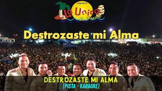 La Única Tropical  Destrozaste Mi Alma PISTA  KARAOKE [upl. by Aile]