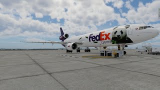 Fedex MD11 Landing  KBOS  Xplane12 [upl. by Loftus]