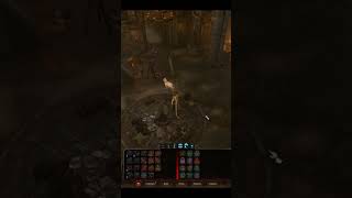 Playing Fetch With Scratch baldursgate3 bg3 gaming [upl. by Salina]