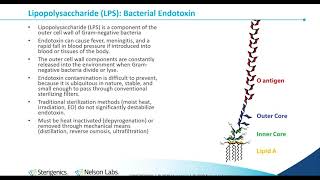 Bacterial Endotoxin Testing History InhibitionEnhancement and Process Control [upl. by Eenad471]