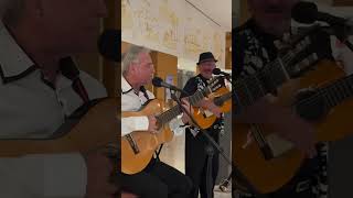 Sevilla espectaculosn3 music live night viral foryou parati [upl. by Jilly]