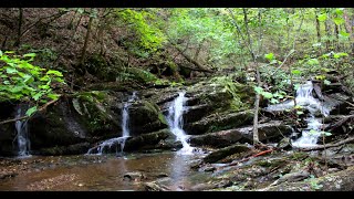 Miry Branch Cascade [upl. by Ned478]