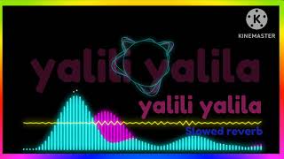 yalili yalila full song slowed reverb best song yalili yalila [upl. by Liatris]