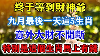 終於等到財神爺！九月最後一天這5生肖！意外大財不間斷！特別是這個生肖馬上變有錢！運勢 風水 佛教 生肖 发财 横财 【佛之緣】 [upl. by Aseek]