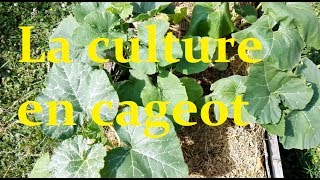 La culture en cageot permaculture [upl. by Drud]