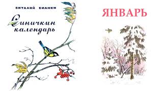 Синичкин календарь Январь ВБианки  Слушать [upl. by Catlee]