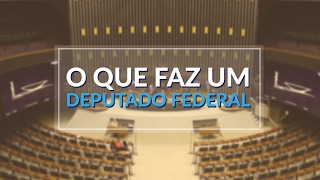 O QUE FAZ UM DEPUTADO FEDERAL [upl. by Banebrudge356]