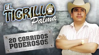 EL TIGRILLO PALMA 20 CORRIDOS PODEROSOS [upl. by Siraj889]