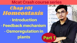 Homeostasis  Osmoregulation in Plants  Feedback Mechanism Part 1  2nd year Biology [upl. by Podvin13]