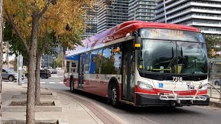 501 Queen Bus Replacement During Track Repair Oct 26 2024 [upl. by Brigham]