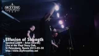 SKYFIRE Effusion of Strength Live Vinyl Story Club St Petersburg 20130330 [upl. by Oznola]